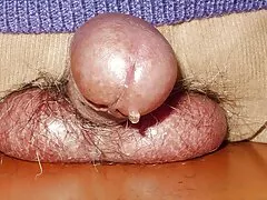 سخيف قبل فيلم سكسي جديد٢٠١٩ رحلة عمل