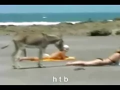 دعا مجاملة ومارس الجنس معها مع افلام سكسي عربي جديد زوجته